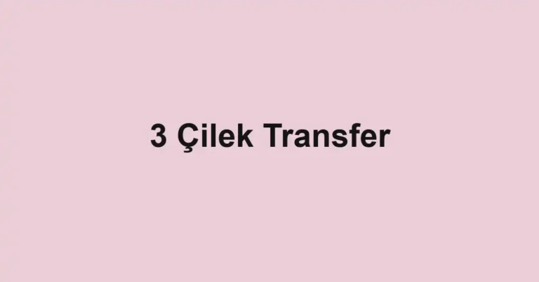 3 Çilek Transfer