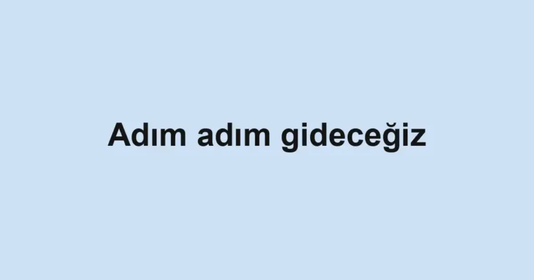 Adım adım gideceğiz