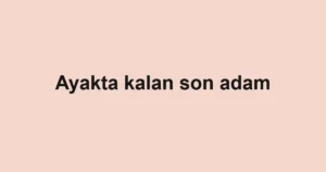 Ayakta kalan son adam