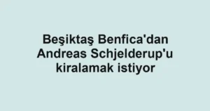 Beşiktaş Benfica'dan Andreas Schjelderup'u kiralamak istiyor