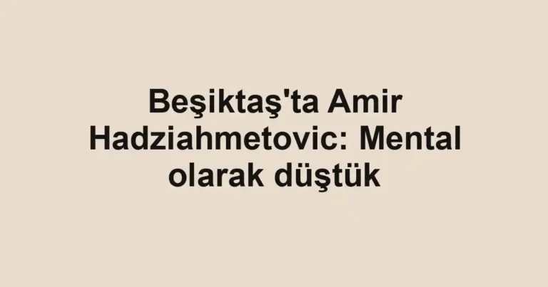 Beşiktaş'ta Amir Hadziahmetovic: Mental olarak düştük