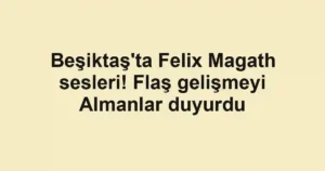 Beşiktaş'ta Felix Magath sesleri! Flaş gelişmeyi Almanlar duyurdu