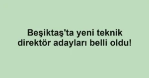 Beşiktaş'ta yeni teknik direktör adayları belli oldu!
