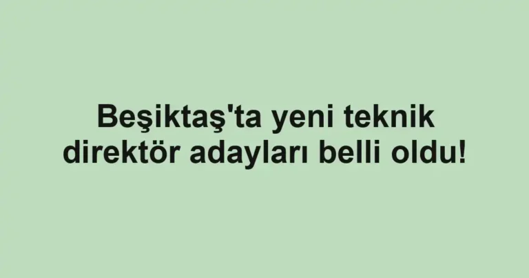 Beşiktaş'ta yeni teknik direktör adayları belli oldu!