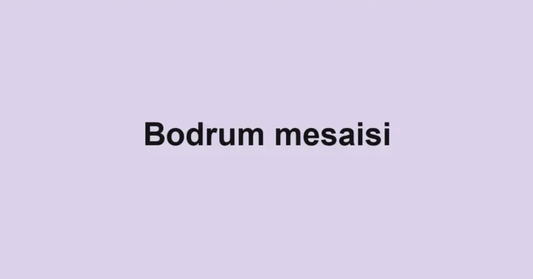 Bodrum mesaisi