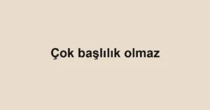 Çok başlılık olmaz