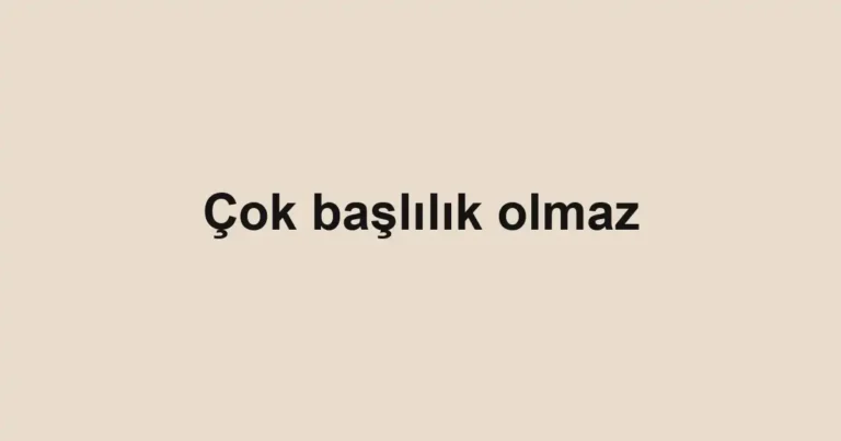 Çok başlılık olmaz