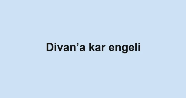 Divan’a kar engeli