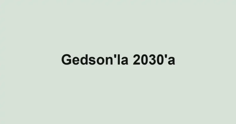 Gedson'la 2030'a