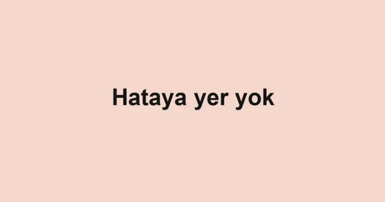 Hataya yer yok