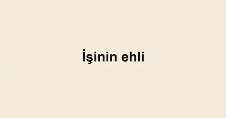 İşinin ehli