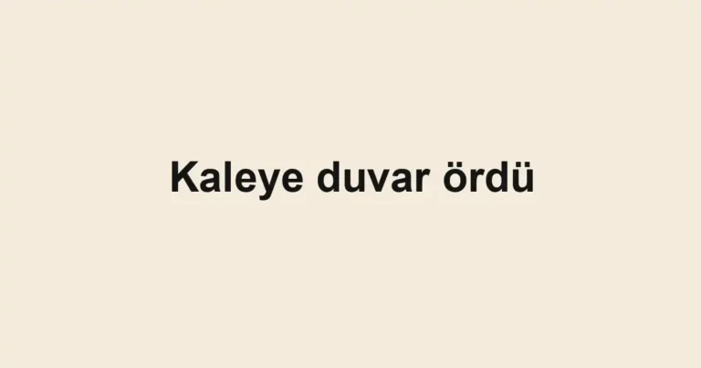 Kaleye duvar ördü