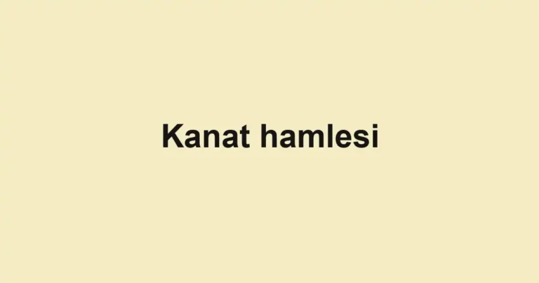 Kanat hamlesi
