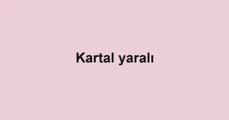 Kartal yaralı