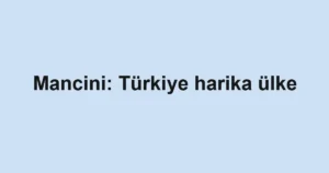 Mancini: Türkiye harika ülke