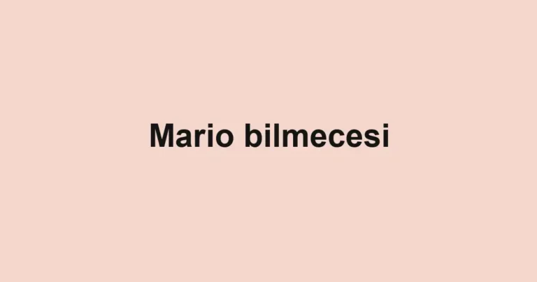 Mario bilmecesi