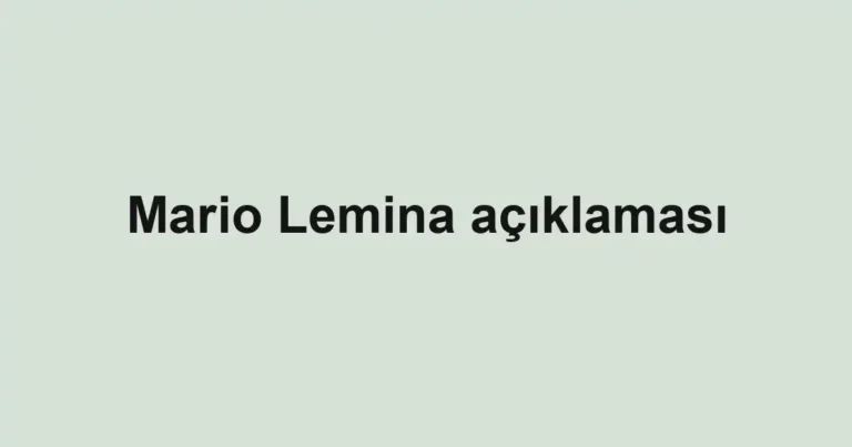 Mario Lemina açıklaması