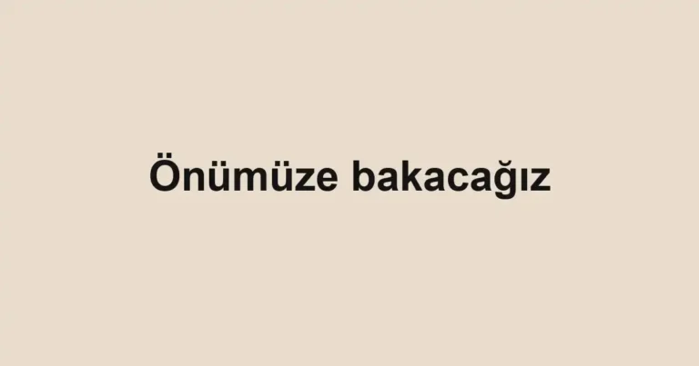 Önümüze bakacağız