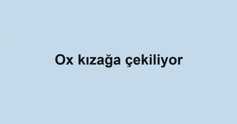 Ox kızağa çekiliyor