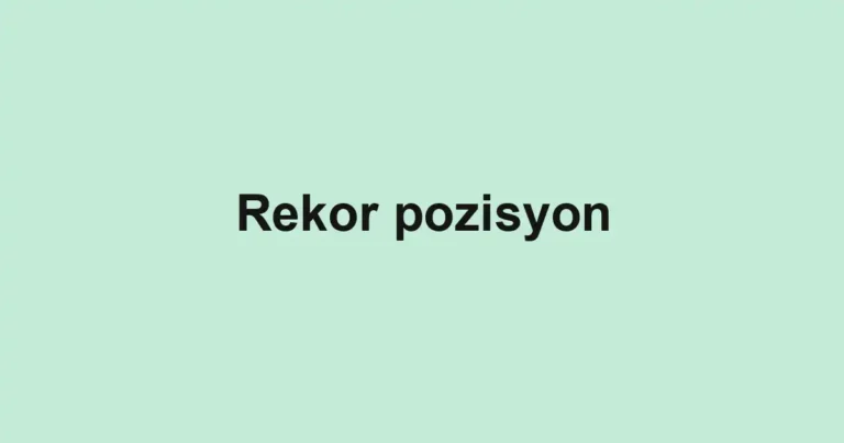 Rekor pozisyon