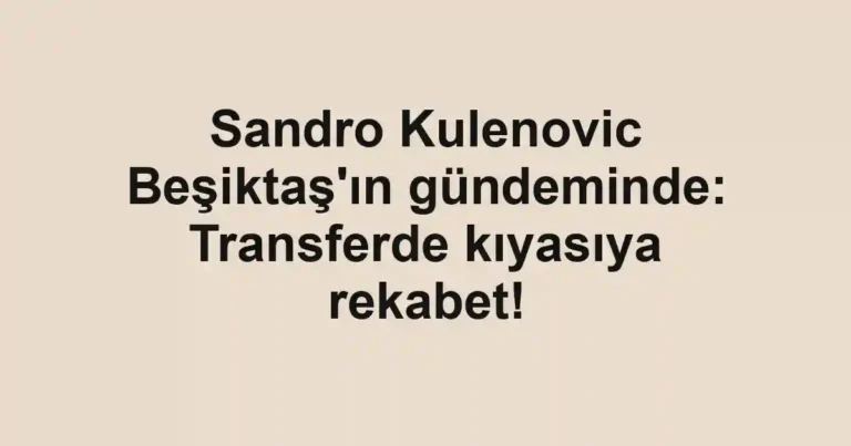 Sandro Kulenovic Beşiktaş'ın gündeminde: Transferde kıyasıya rekabet!