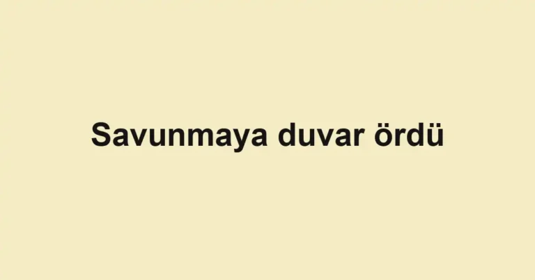 Savunmaya duvar ördü