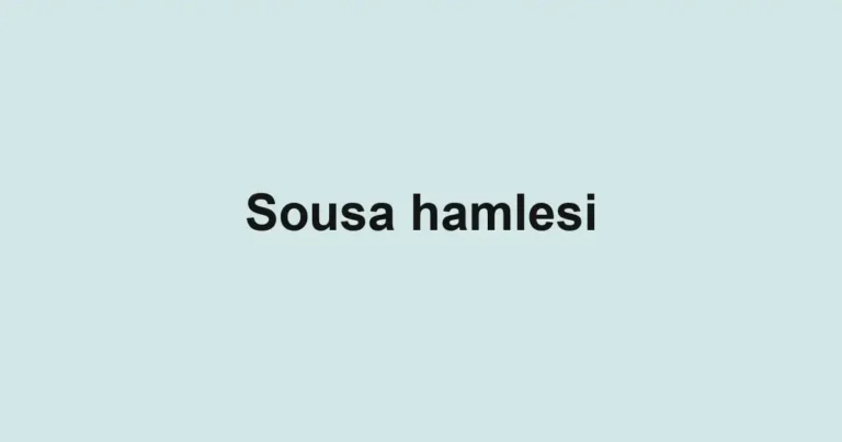 Sousa hamlesi