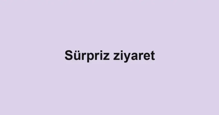 Sürpriz ziyaret
